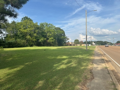 Land For Sale On Hwy Adamsville Tn Commercial - image 1