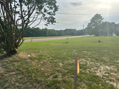 Land For Sale On Hwy Adamsville Tn Commercial - image 15