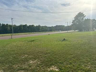 Land For Sale On Hwy Adamsville Tn Commercial - image 17