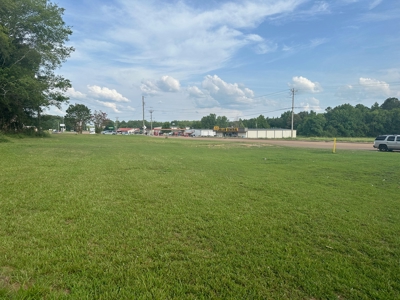 Land For Sale On Hwy Adamsville Tn Commercial - image 2
