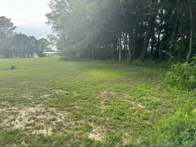 Land For Sale On Hwy Adamsville Tn Commercial - image 14