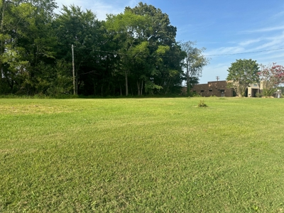 Land For Sale On Hwy Adamsville Tn Commercial - image 5