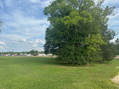 Land For Sale On Hwy Adamsville Tn Commercial - image 8