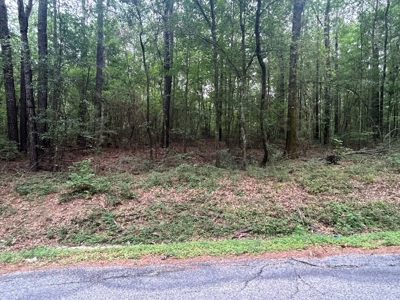5 Acre Homesite for Sale Covington Co. Ms - image 8