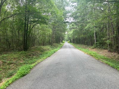 5 Acre Homesite for Sale Covington Co. Ms - image 2