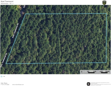 5 Acre Homesite for Sale Covington Co. Ms - image 11