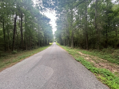 5 Acre Homesite for Sale Covington Co. Ms - image 5