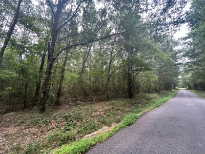 5 Acre Homesite for Sale Covington Co. Ms - image 3