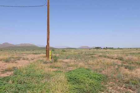 80 Prime acres in the Kansas Settlement area of Willcox, AZ. - image 5