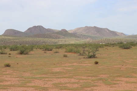 80 Prime acres in the Kansas Settlement area of Willcox, AZ. - image 1