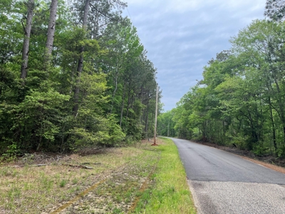 Hardwood/Pine Timberland W/ Creek near Hampton, AR for Sale - image 1