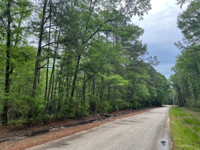 Hardwood/Pine Timberland W/ Creek near Hampton, AR for Sale - image 2