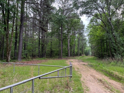 Old Field Pine Land W/ Pond W/ County RD near Hampton, AR - image 1