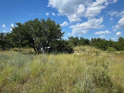 Home Lot 153 Kings Point Cove Resort Lake Brownwood TX - image 4