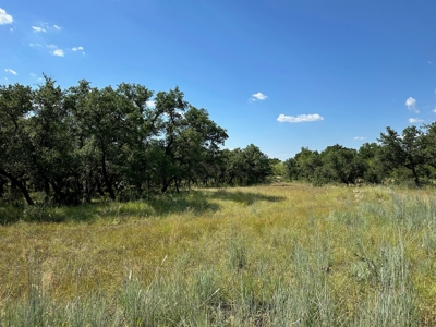 Home Lot 153 Kings Point Cove Resort Lake Brownwood TX - image 5