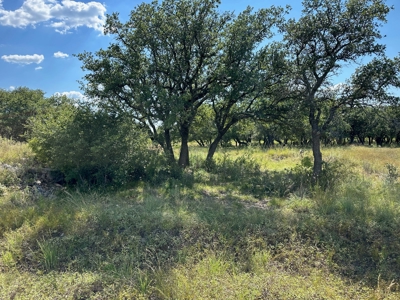 Home Lot 153 Kings Point Cove Resort Lake Brownwood TX - image 2