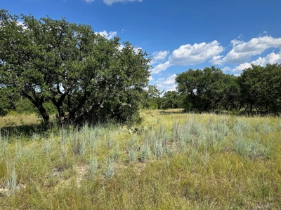 Home Lot 153 Kings Point Cove Resort Lake Brownwood TX - image 10