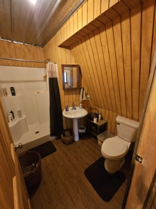 Lake Home For Sale - image 19