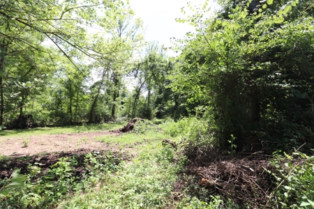 Land Morrow County Home Site Woods - image 25