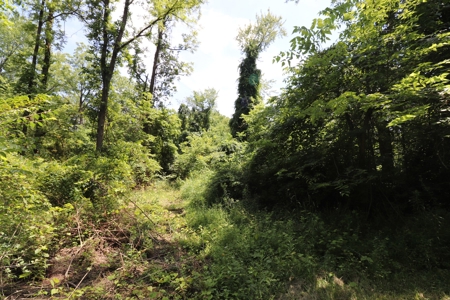 Land Morrow County Home Site Woods - image 30