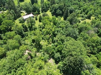 Land Morrow County Home Site Woods - image 6