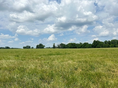 El Dorado Springs Missouri Country Home & 10 Acres For Sale - image 33