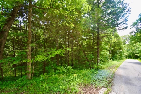 Indiana Hunting Land & Cabin For Sale - image 18
