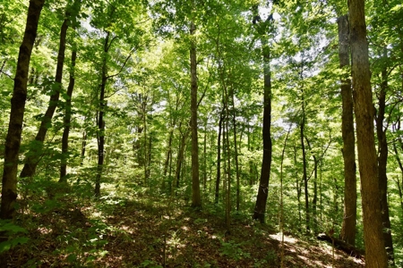 Indiana Hunting Land & Cabin For Sale - image 14