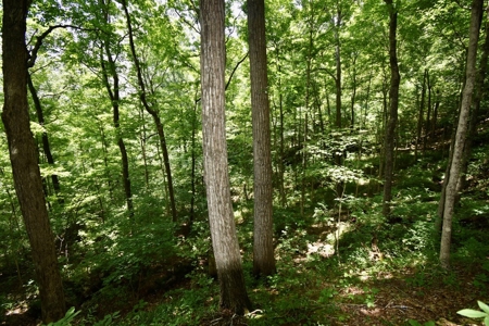 Indiana Hunting Land & Cabin For Sale - image 17
