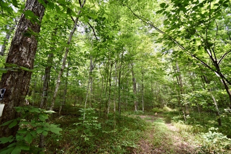 Indiana Hunting Land & Cabin For Sale - image 22