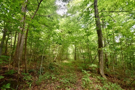 Indiana Hunting Land & Cabin For Sale - image 27