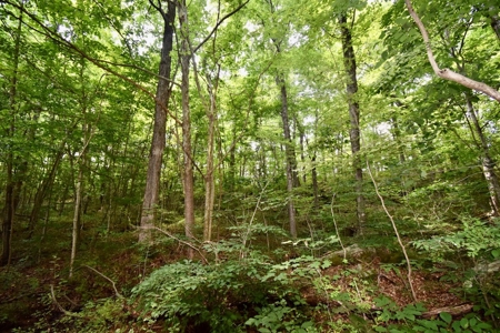 Indiana Hunting Land & Cabin For Sale - image 25