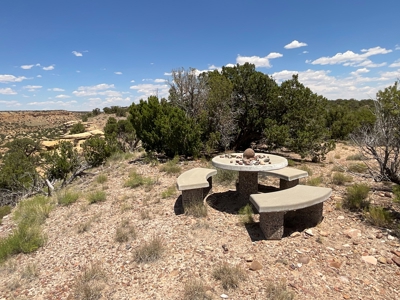 Large Acreage with Beautiful Home for sale in Eastern AZ - image 42
