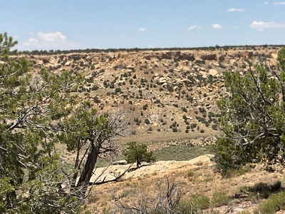 Large Acreage with Beautiful Home for sale in Eastern AZ - image 43