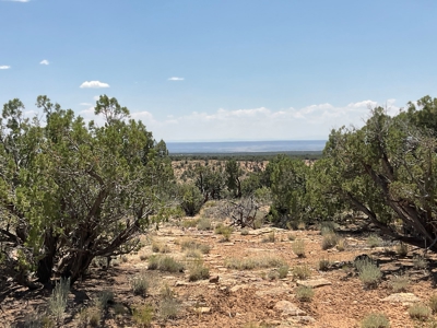 Large Acreage with Beautiful Home for sale in Eastern AZ - image 40