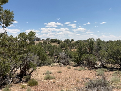 Large Acreage with Beautiful Home for sale in Eastern AZ - image 38