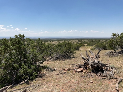 Large Acreage with Beautiful Home for sale in Eastern AZ - image 3
