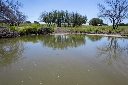 Hwy 84, Goldthwaite, TX - 25 acre Equestrian Dream Property - image 34
