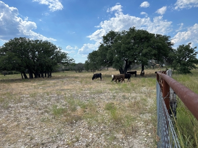 Hwy 84, Goldthwaite, TX - 25 acre Equestrian Dream Property - image 38