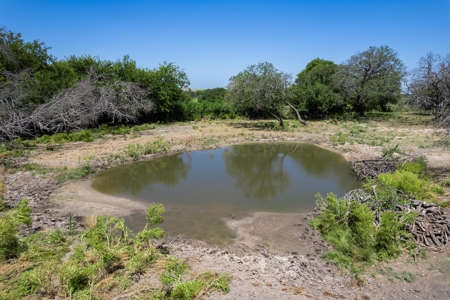 Hwy 84, Goldthwaite, TX - 25 acre Equestrian Dream Property - image 33