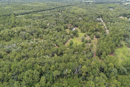 Country Home on 14+ Acres in Trenton, FL - image 16