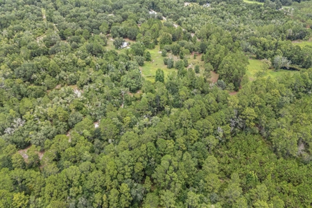 Country Home on 14+ Acres in Trenton, FL - image 14
