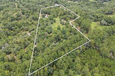 Country Home on 14+ Acres in Trenton, FL - image 13