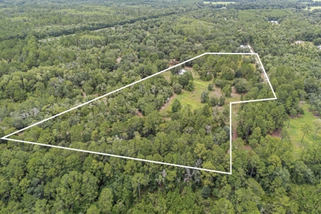 Country Home on 14+ Acres in Trenton, FL - image 15