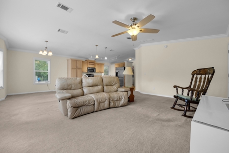 Country Home on 14+ Acres in Trenton, FL - image 40