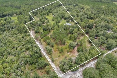 Country Home on 14+ Acres in Trenton, FL - image 9