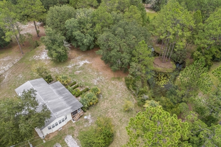 Country Home on 14+ Acres in Trenton, FL - image 6