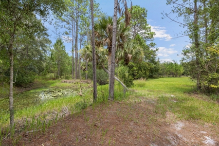 Country Home on 14+ Acres in Trenton, FL - image 22