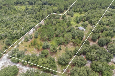 Country Home on 14+ Acres in Trenton, FL - image 11