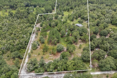Country Home on 14+ Acres in Trenton, FL - image 10